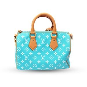 Louis Vuitton Speedy P9 Bandouliere 25 in Torquoise Gold Hardware
