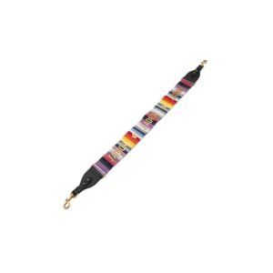 Christian Dior Rainbow Strap "J'Adior" Logo